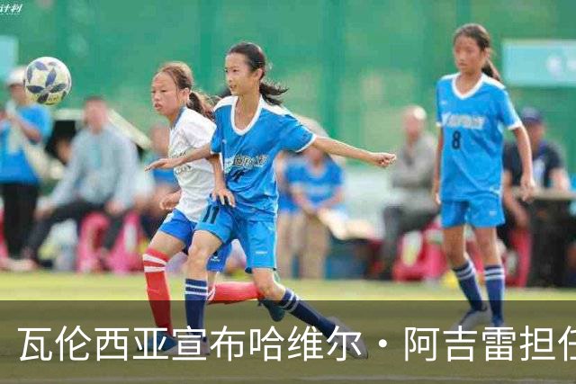 瓦伦西亚宣布哈维尔·阿吉雷担任新任主教练